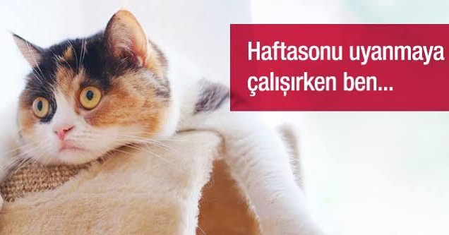 yi hafta sonlar 
