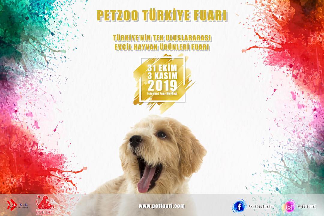 petzoo evcilhayvan