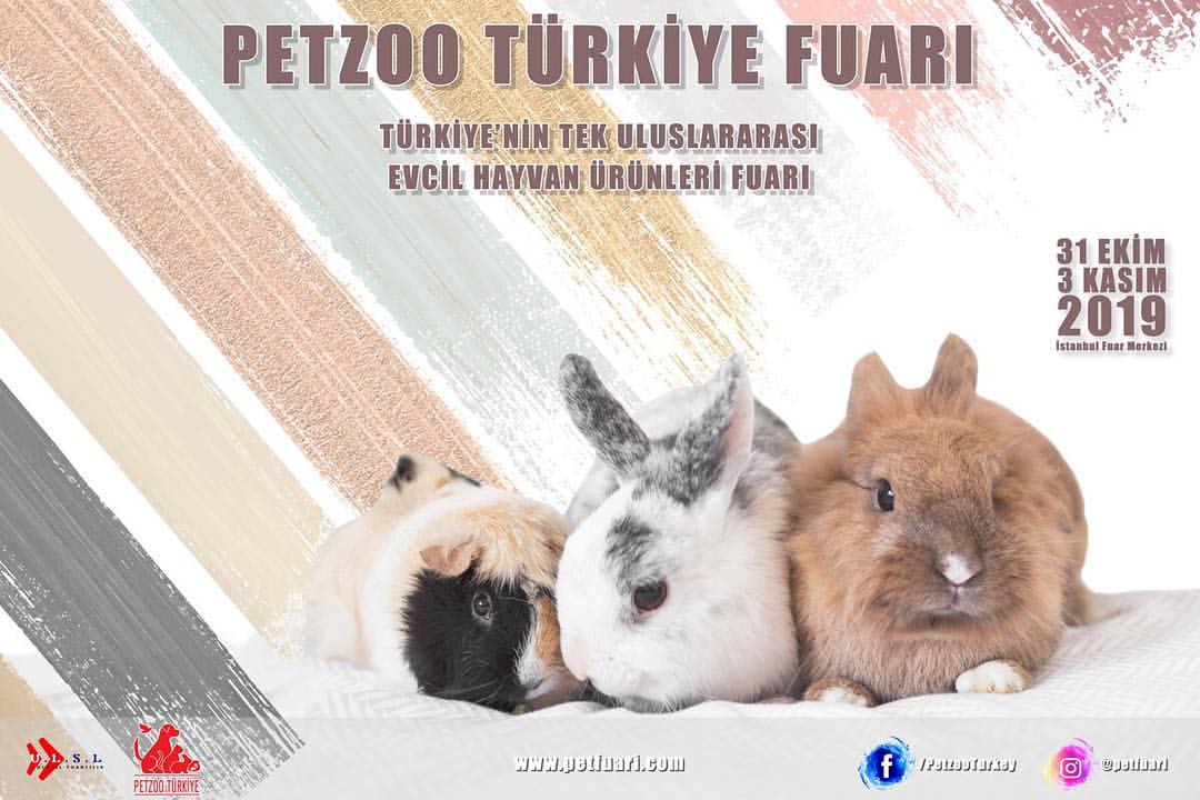 Sadece Pet deil ay