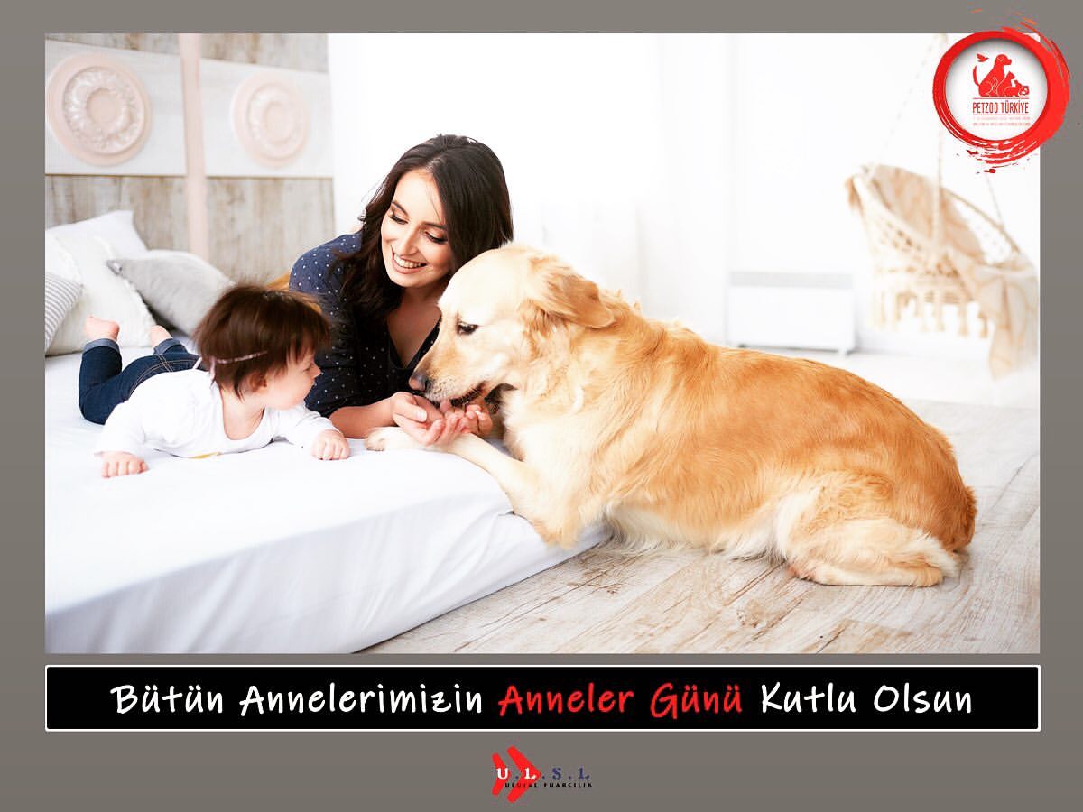 Anneler gn kutlu