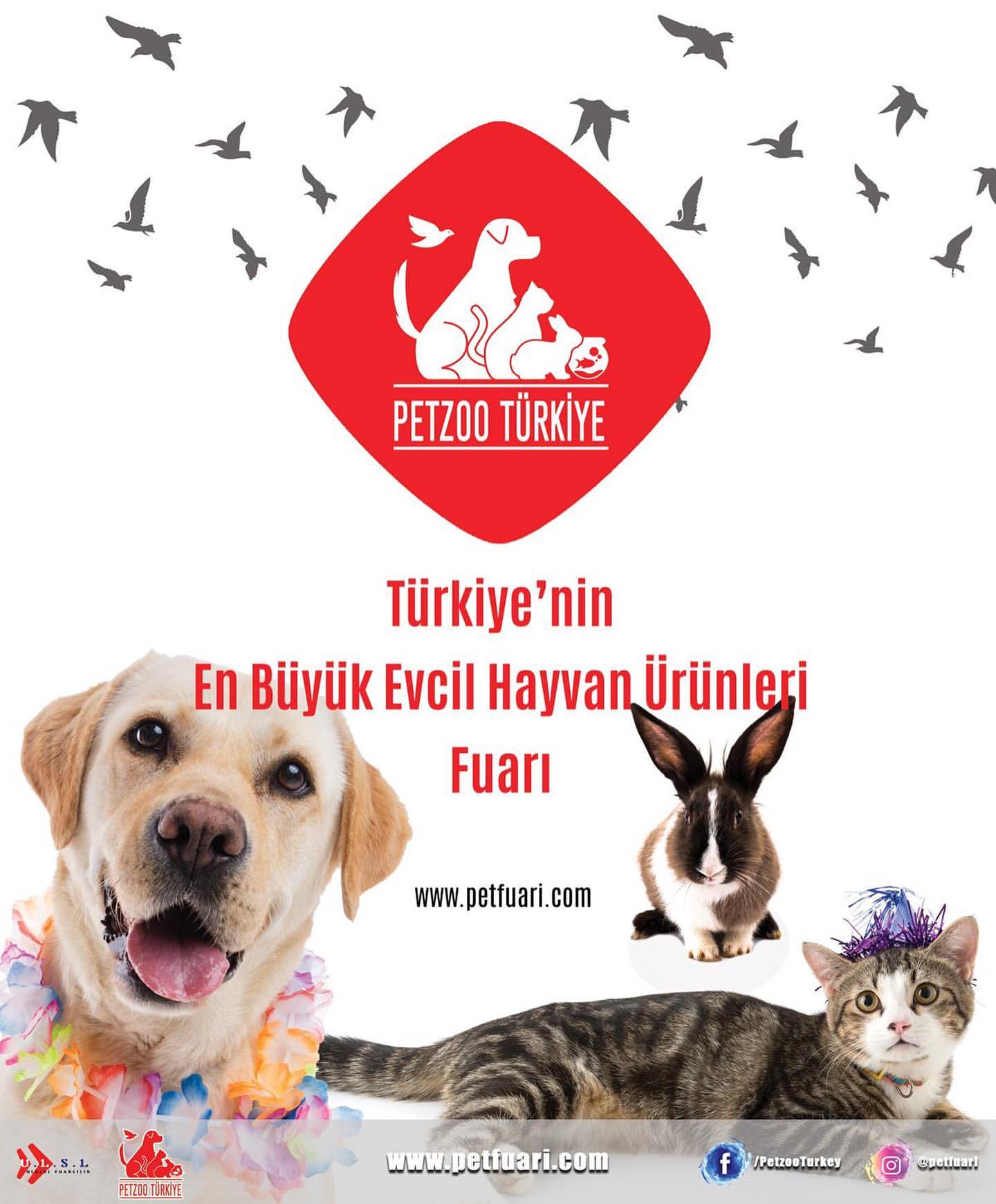 trkiye nin en b