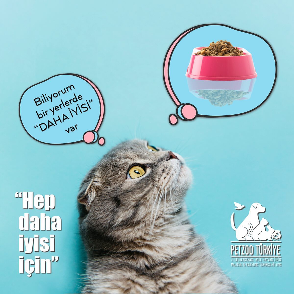 Hep daha iyisini ara
