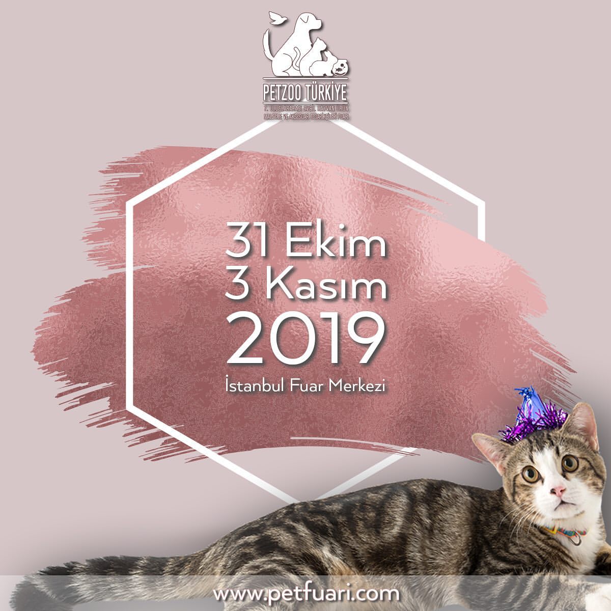 31 Ekim 3 Kasm t