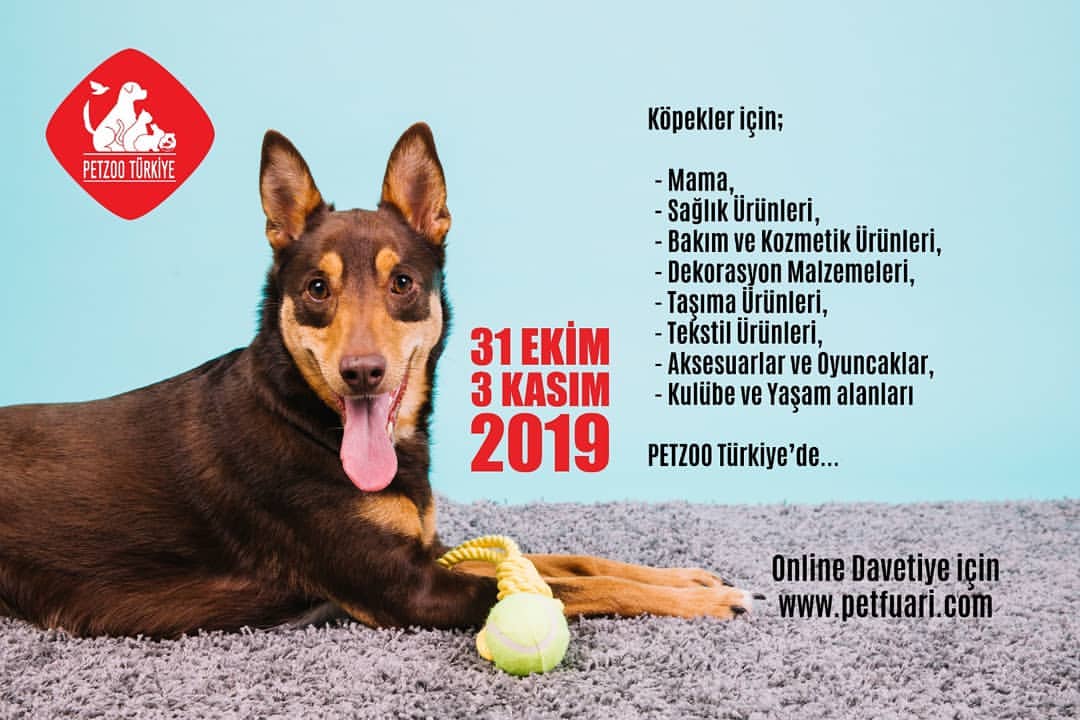 Sevgili kpek dostl