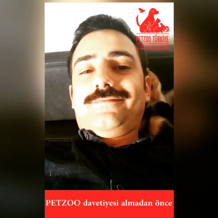 Sevgi dolu gnayd