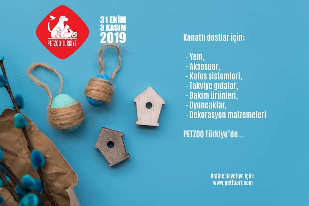 Kanatl dostlarm