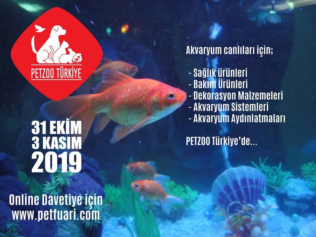 Dekorasyonuyla keyif