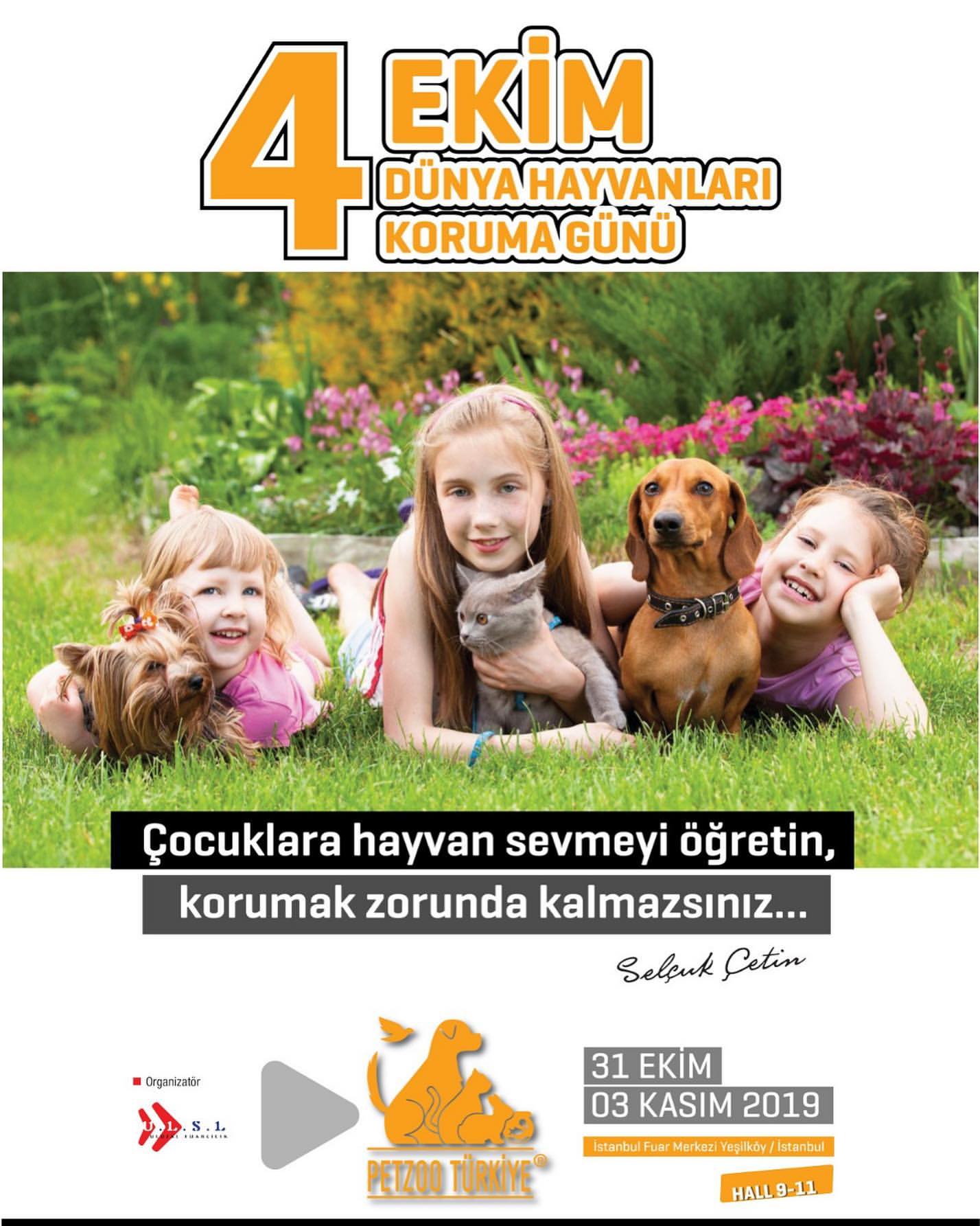 4ekimhayvanlarkor