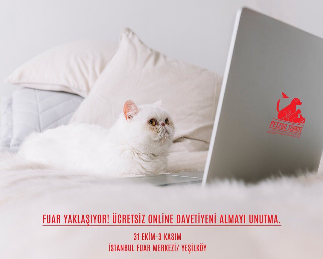 Zaman Yaklayor