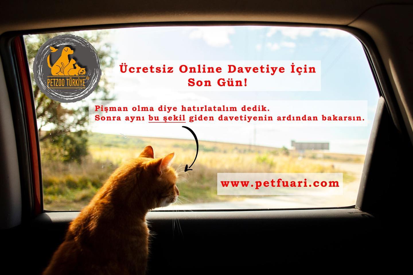 cretsiz davetiye i