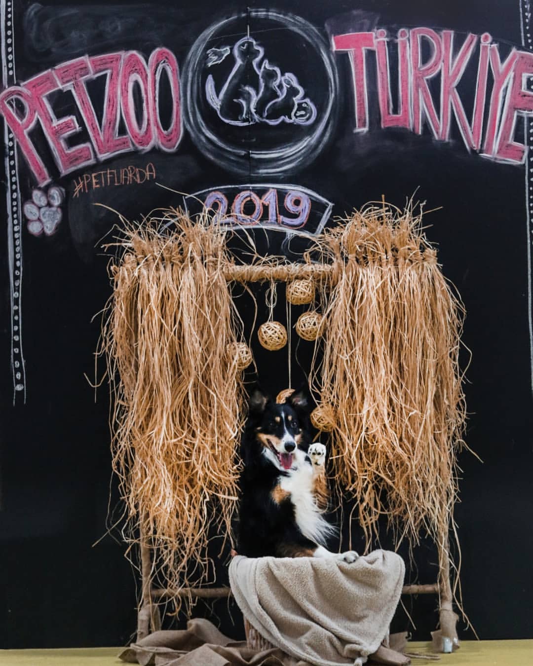 PETZOO Trkiye Fuar