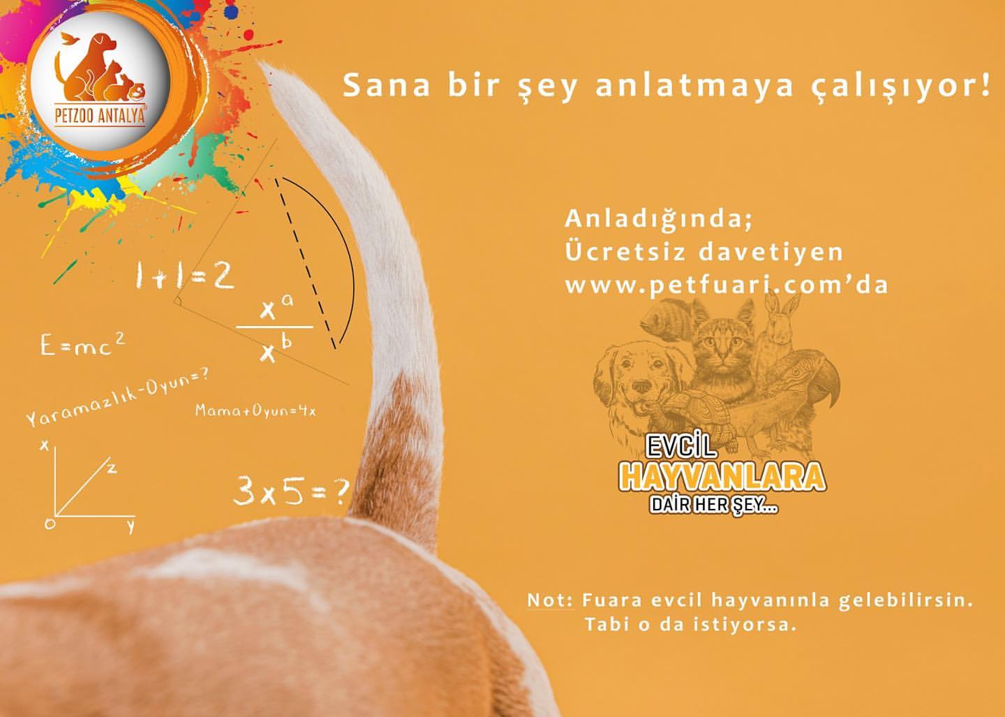 Pet Fuar iin dav