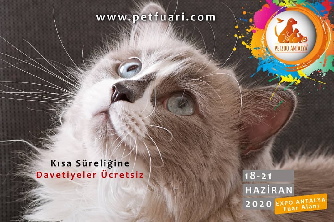 Petzoo Antalya 1821