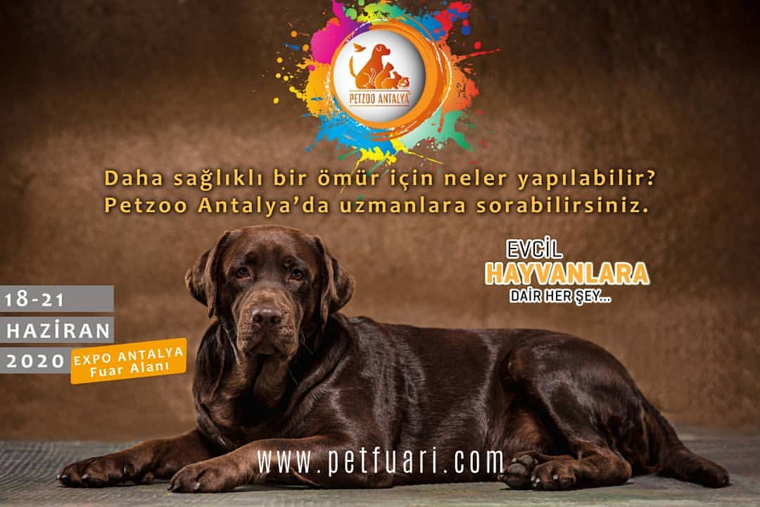 Gnaydn Herkesin