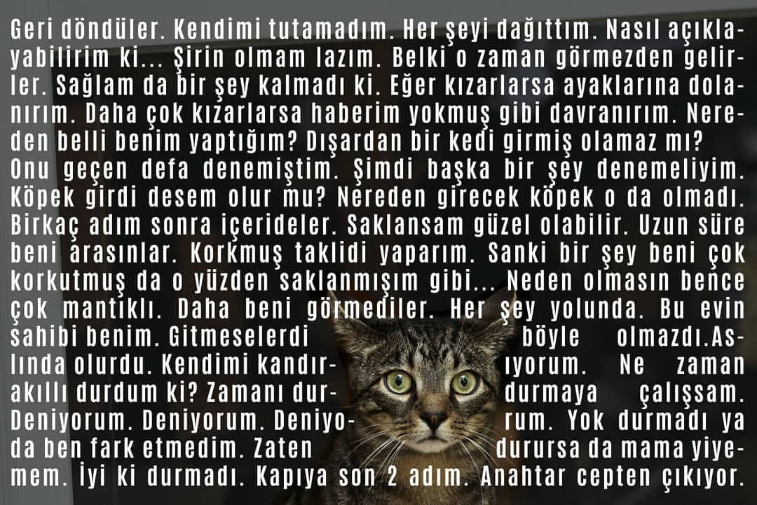 Siz evde yokken yara