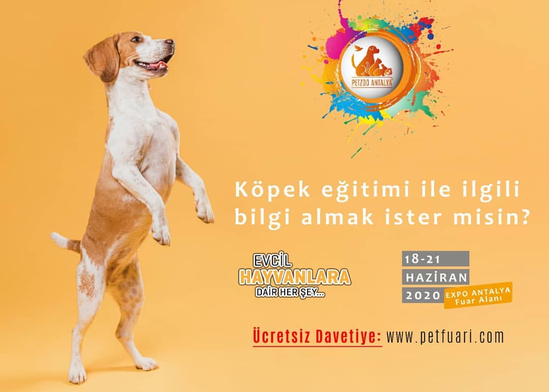 Eitim art 