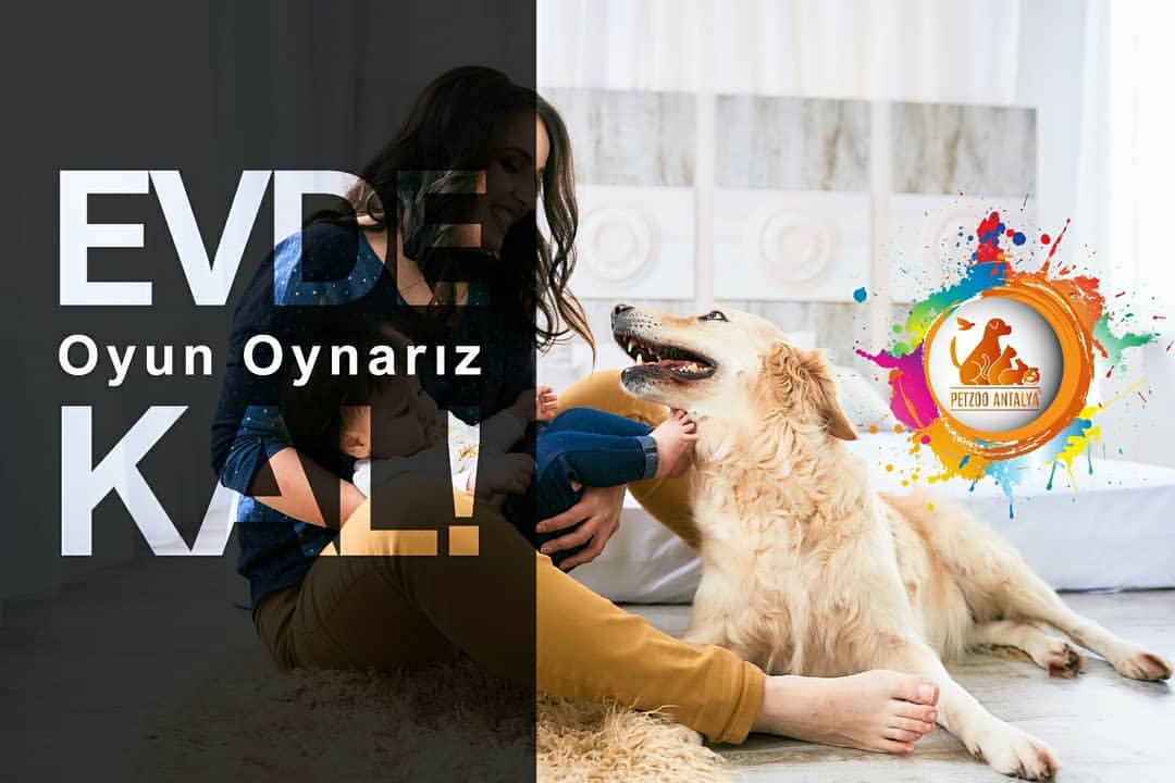 Evde yaplacak ok