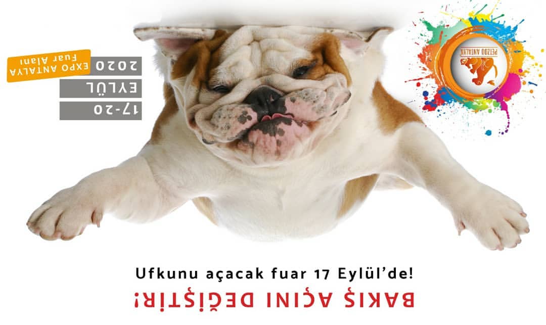 Uuyor mu yoksa ya