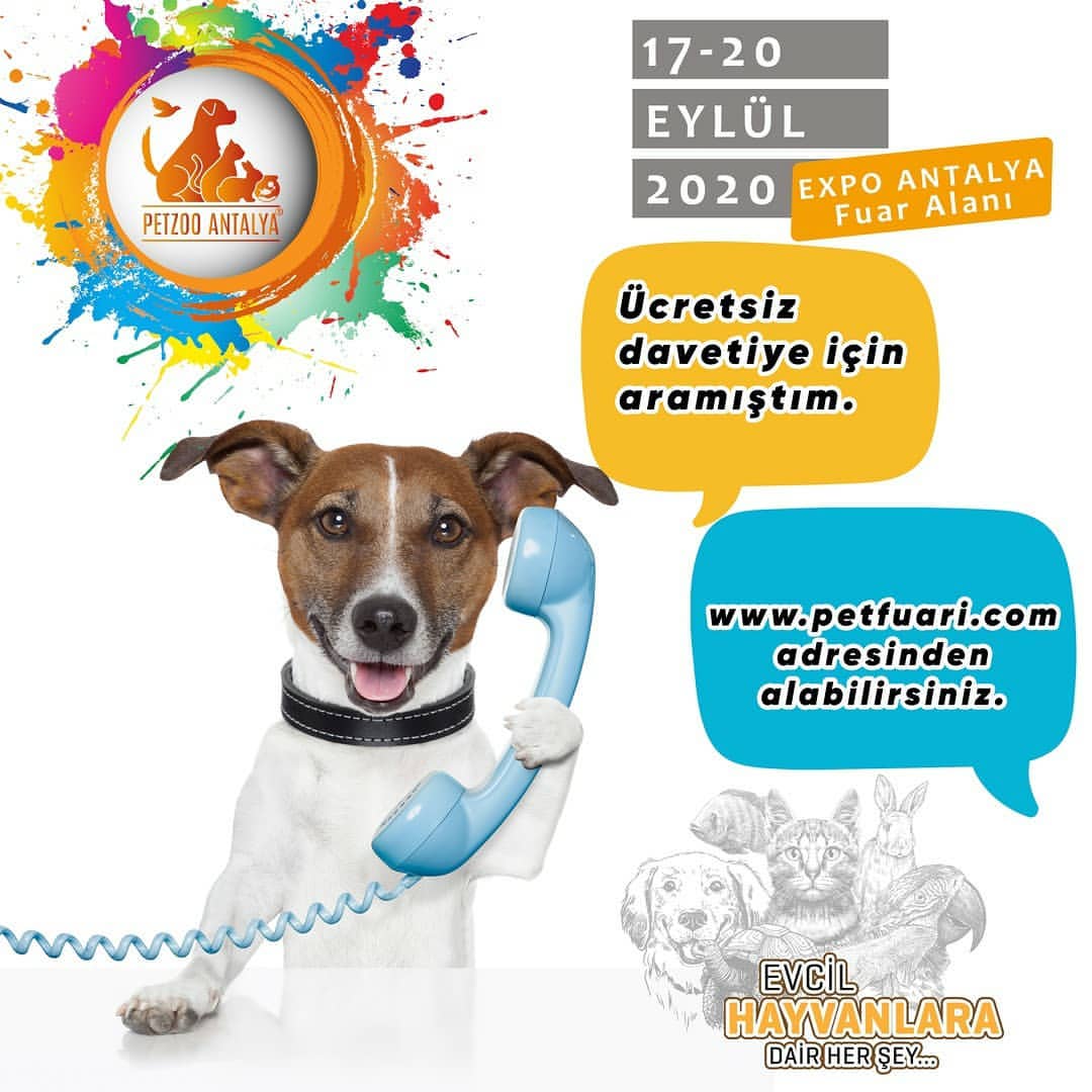 cretsiz davetiyeni