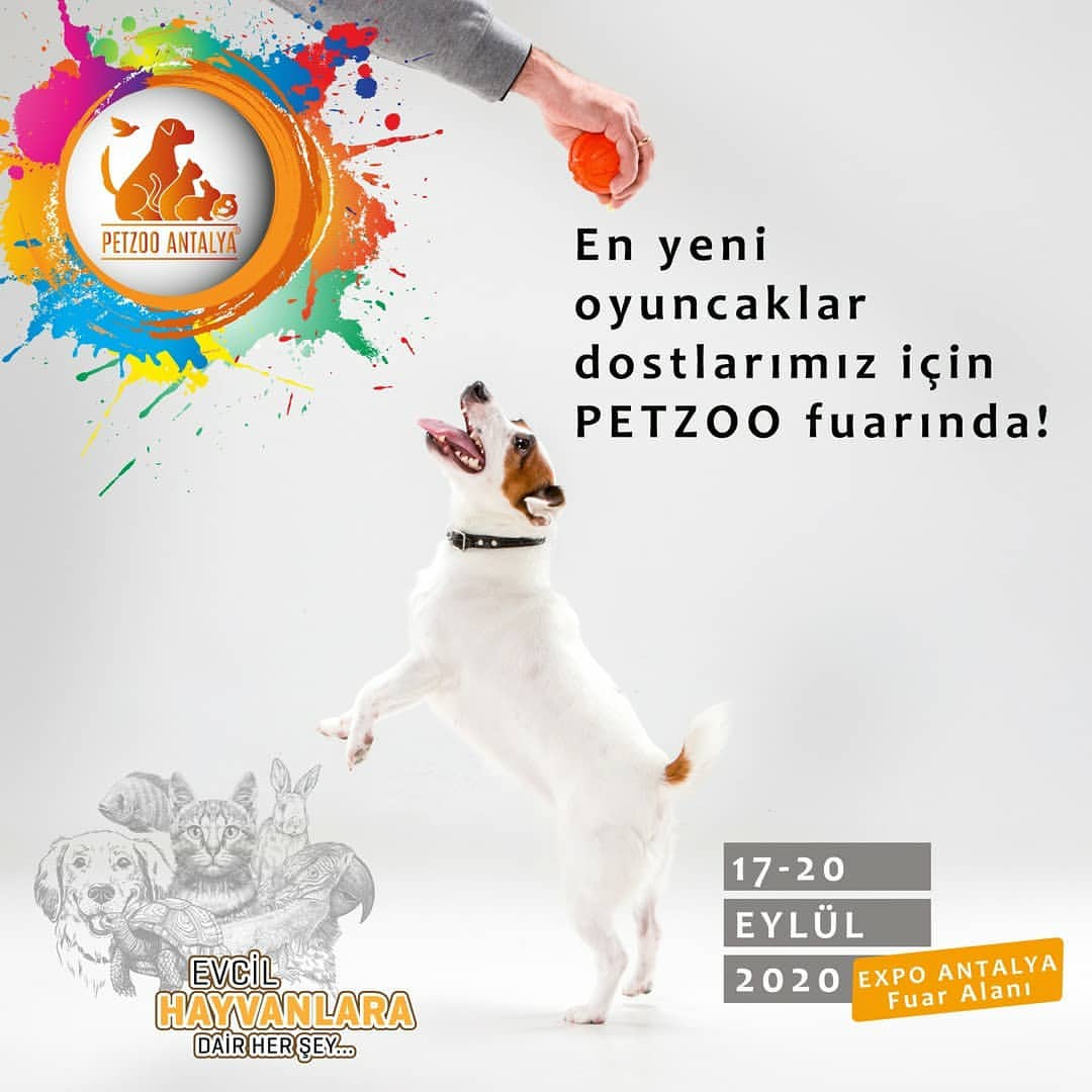 PETZOO Antalyada ev