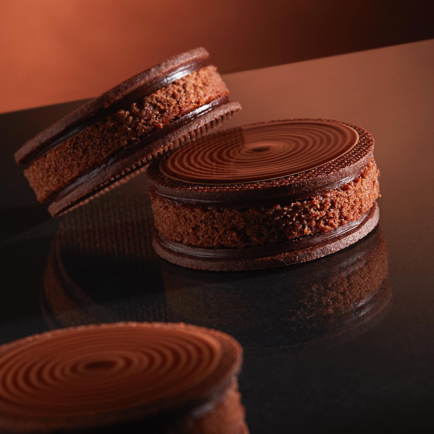 Humus cacao un des