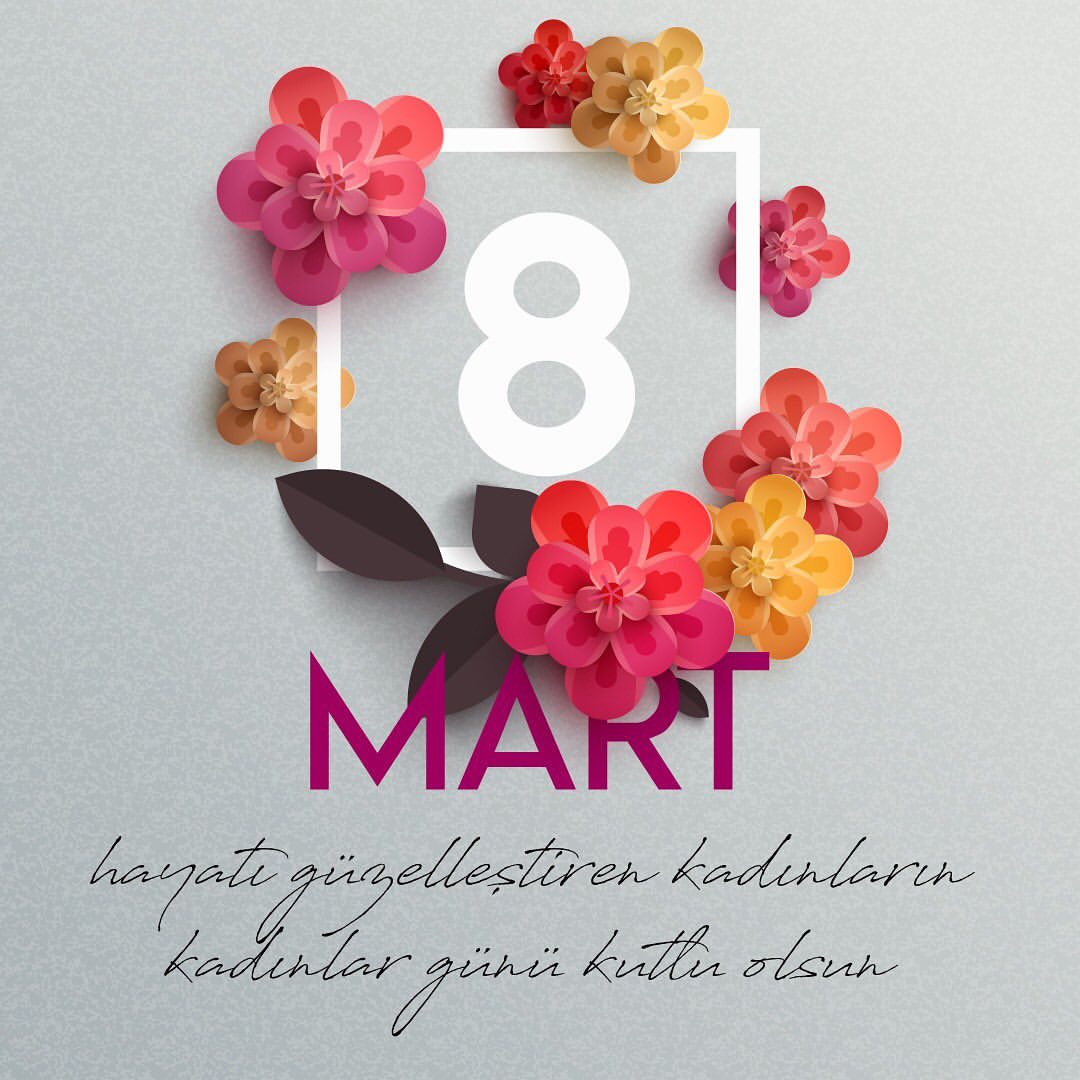 Gne gibi bizi he