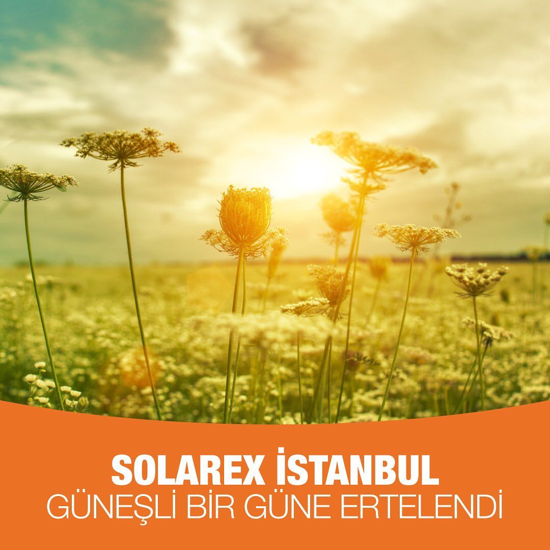 Solarex stanbul d