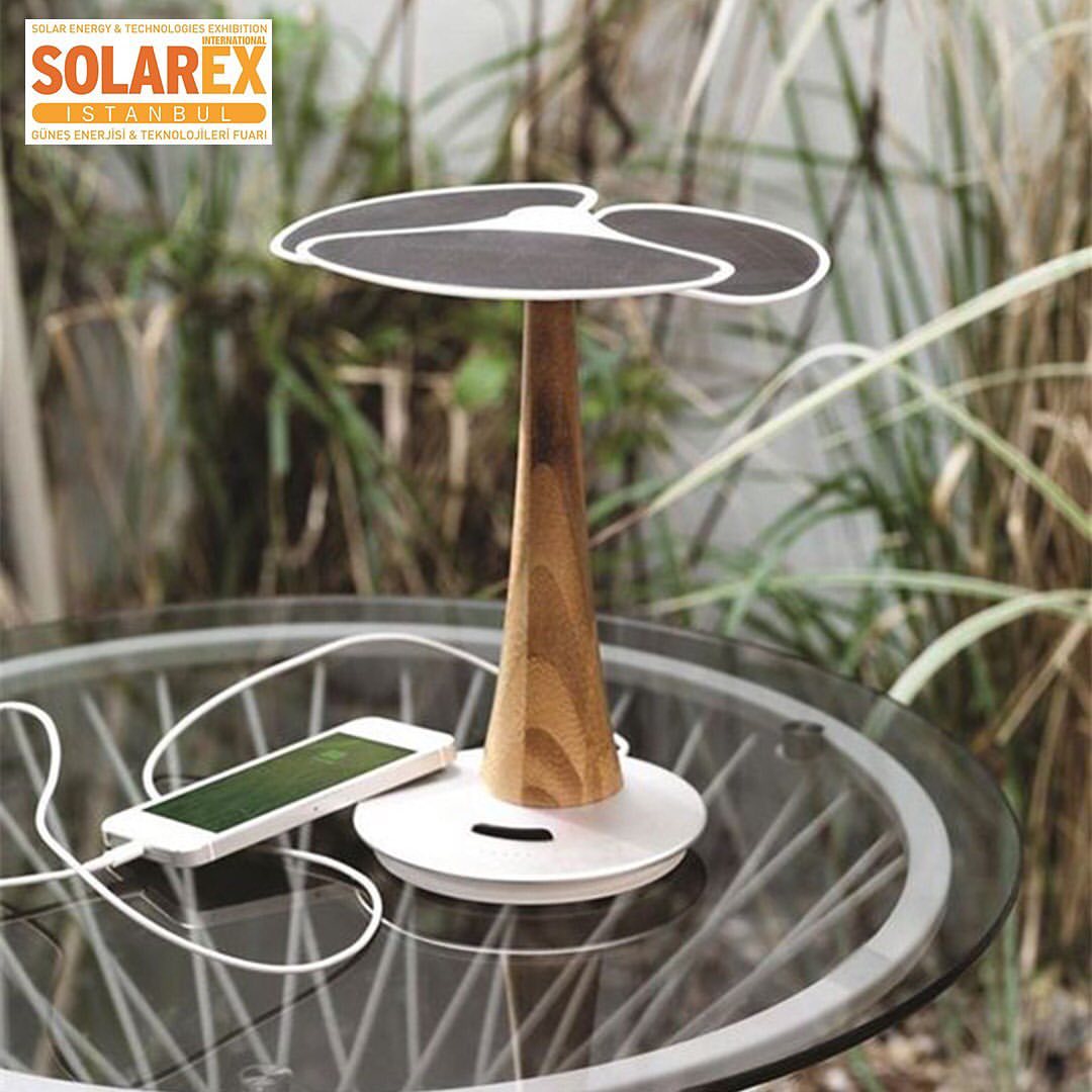 Solar panels are eve