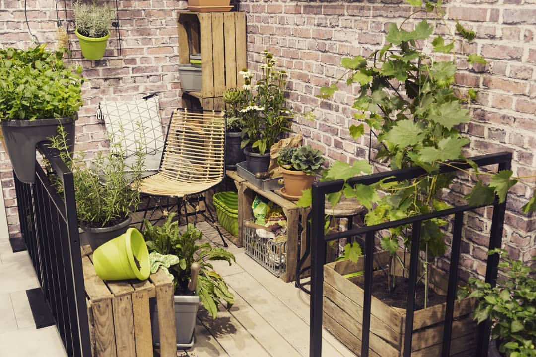 City gardening requi