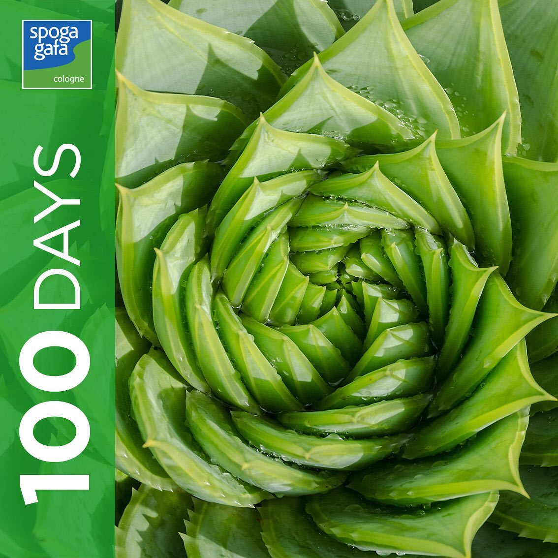 
100 days unti