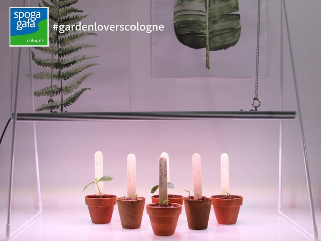 This gardenloversco