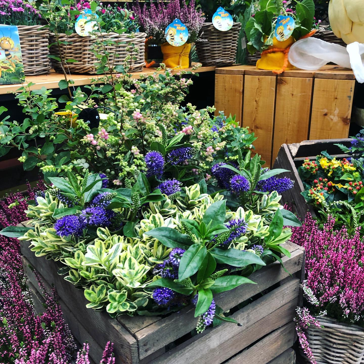 Green oases need to 