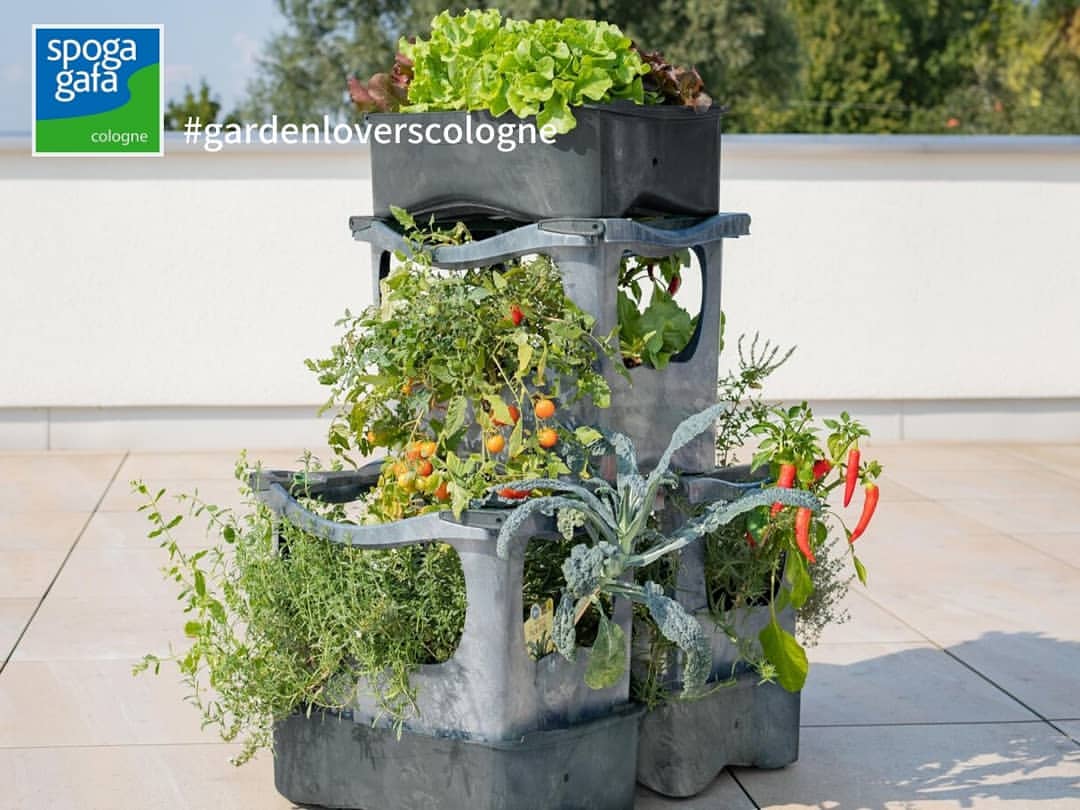 gardenloverscologne