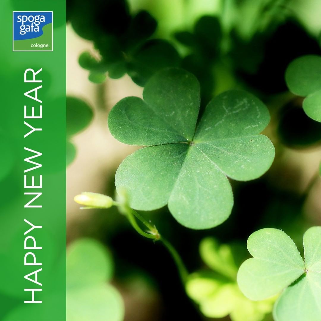 We wish everyone a h
