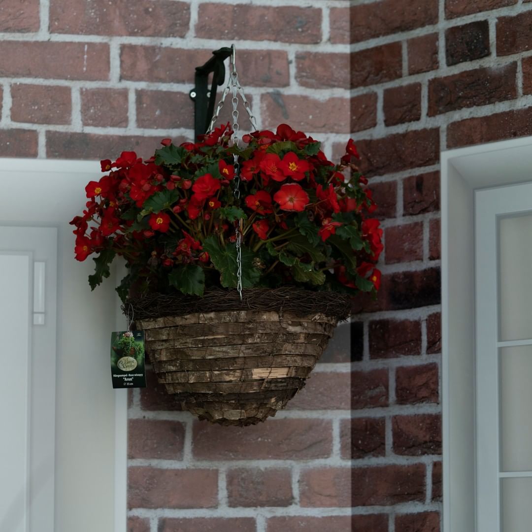 Flower hanging baske