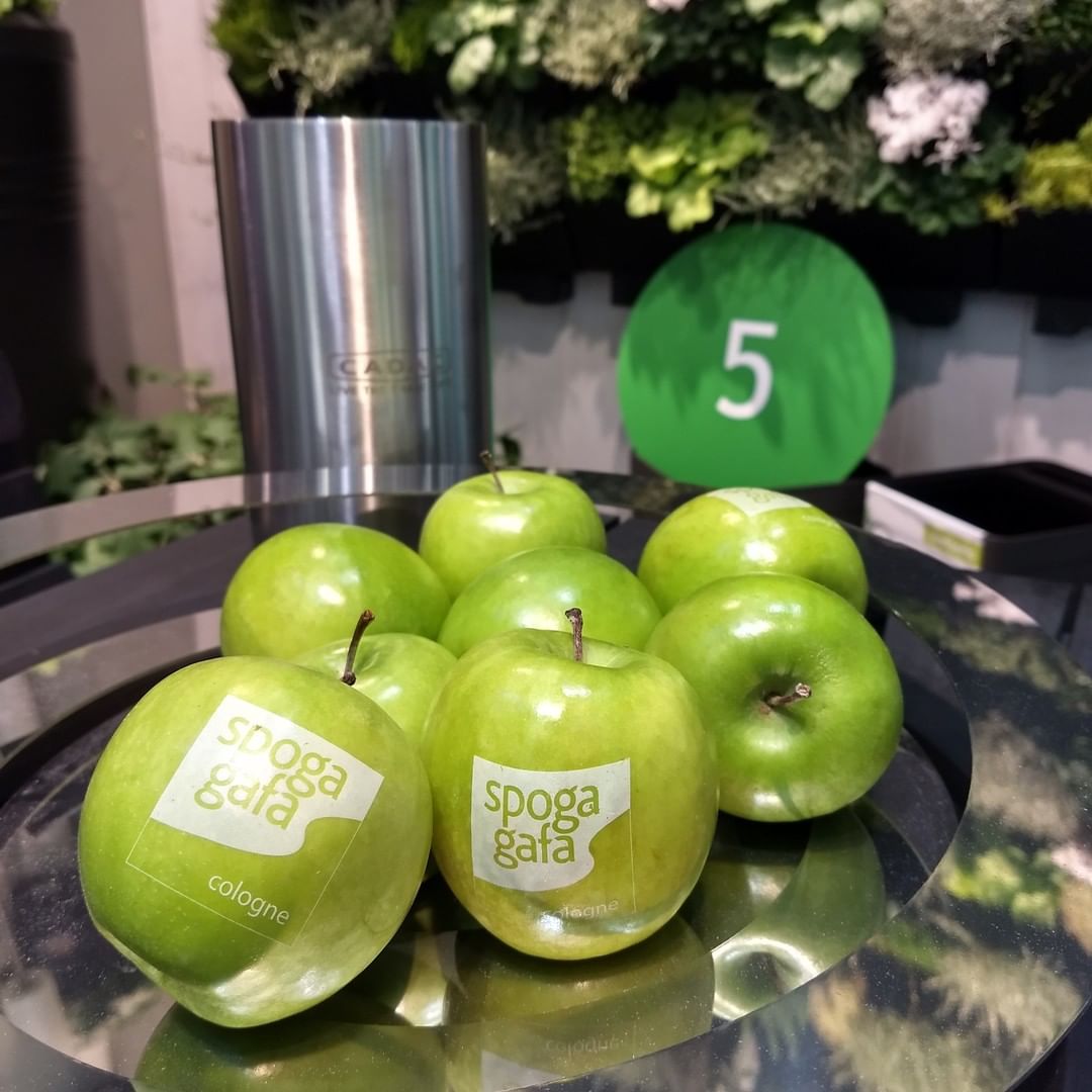 A spogagafa apple a