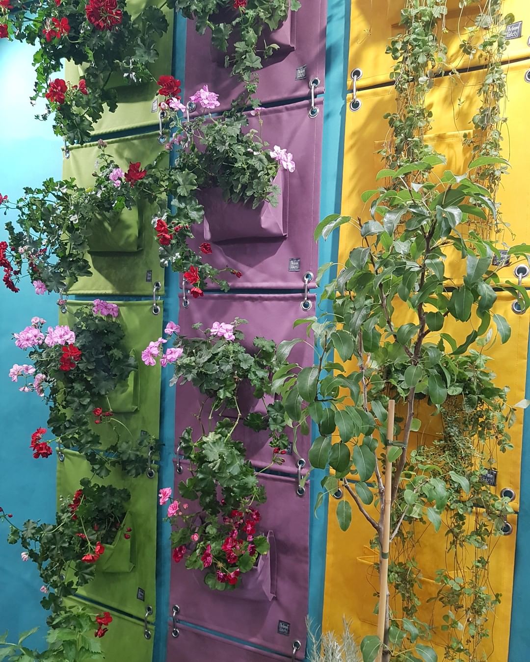 City Gardening at it