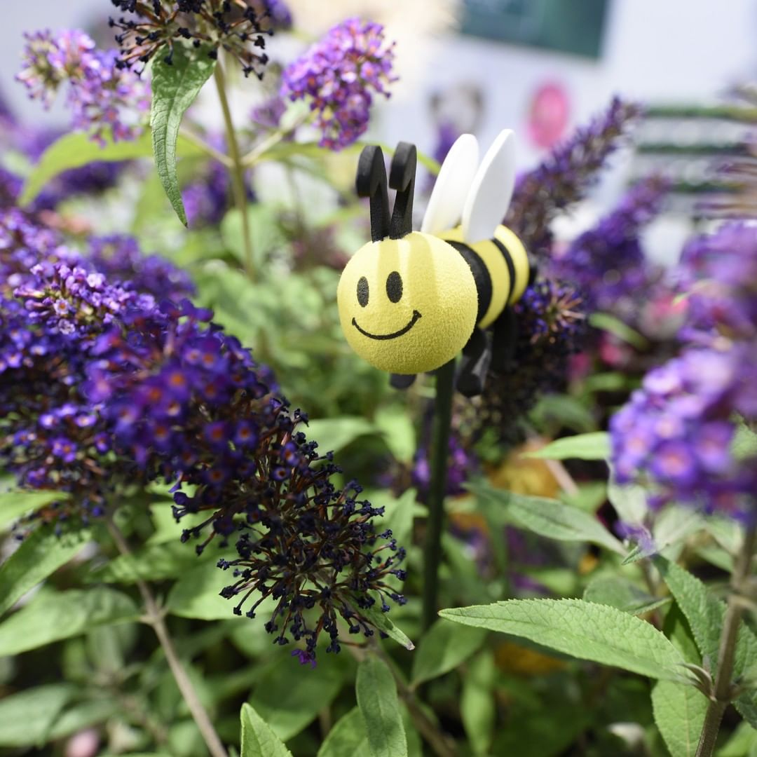 Bee friendly 