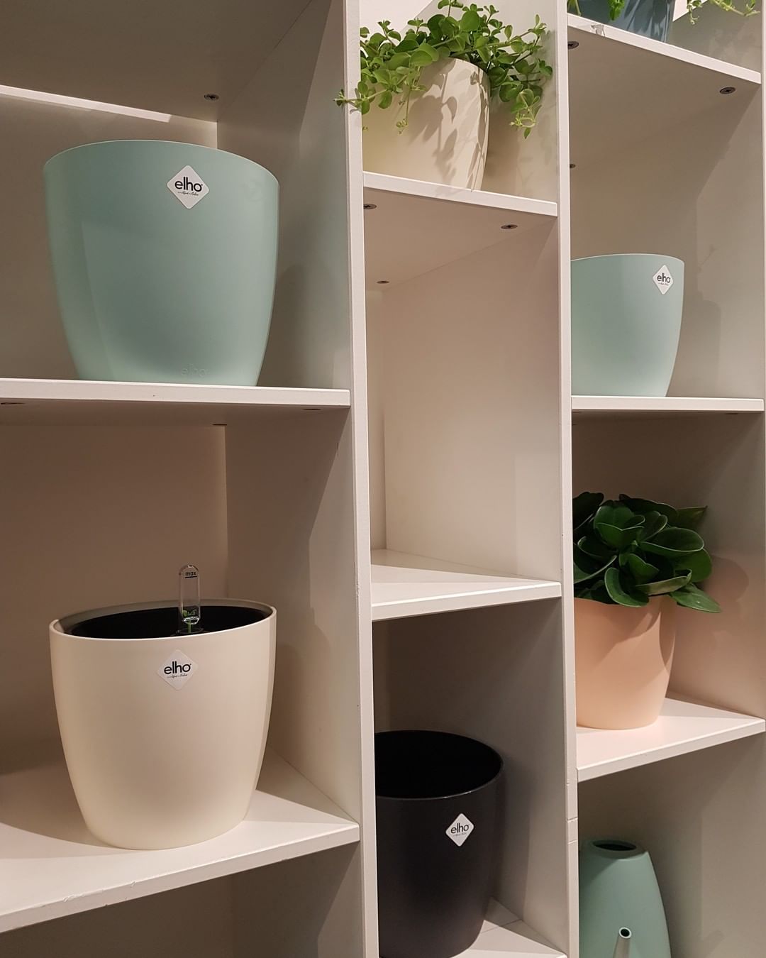 Pastelcoloured pots
