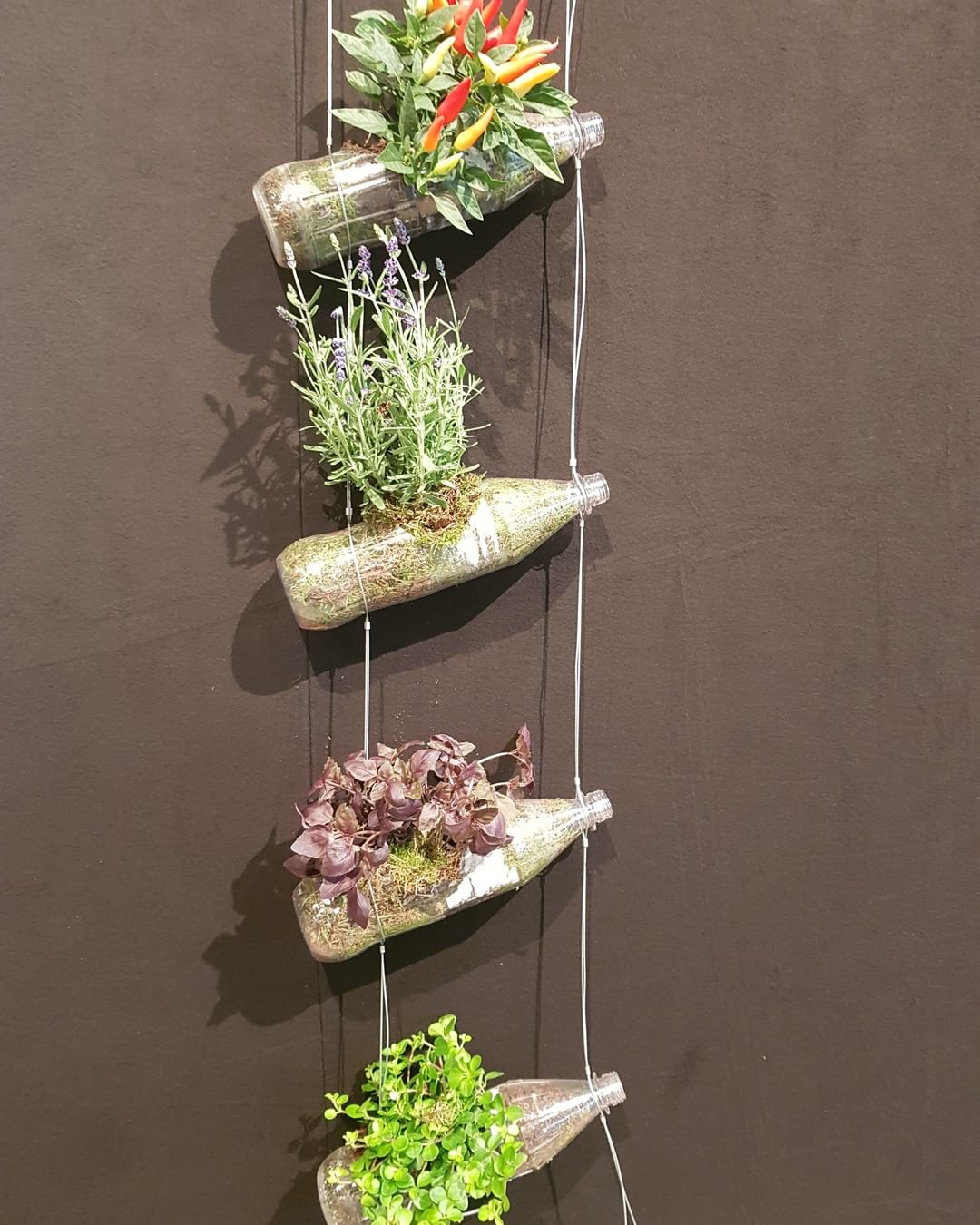 Regrowing done right