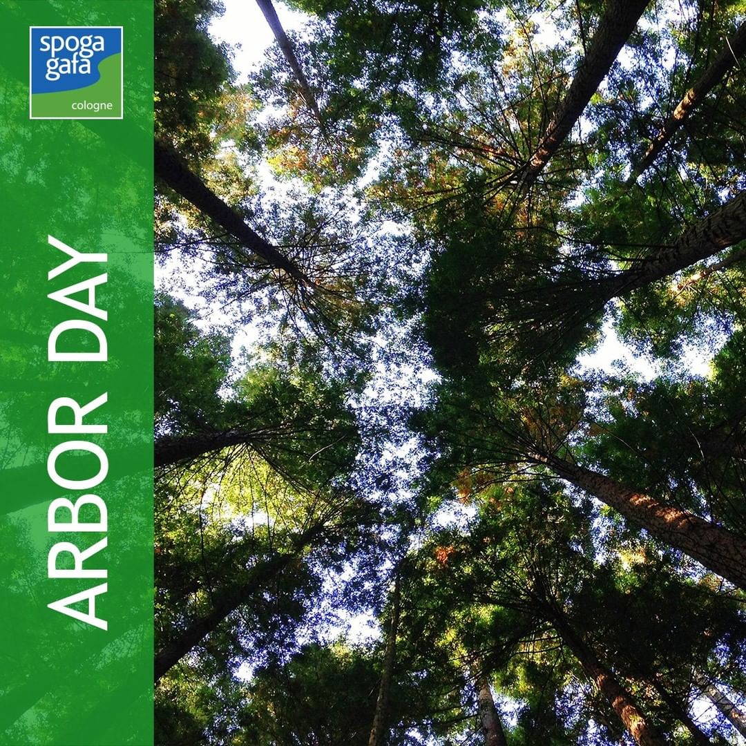 Today is Arbor Day 