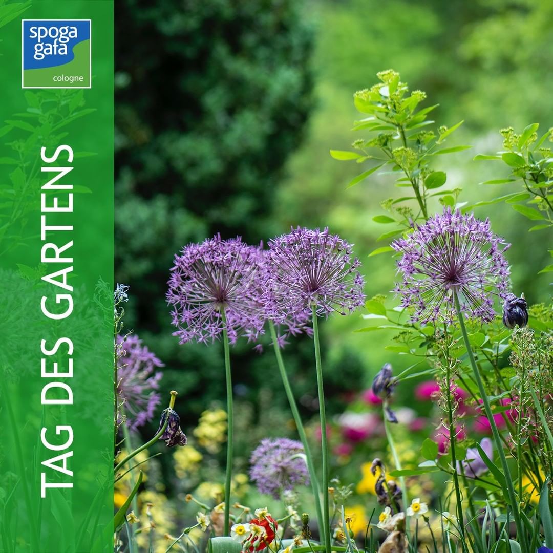 Today is Garden Day 