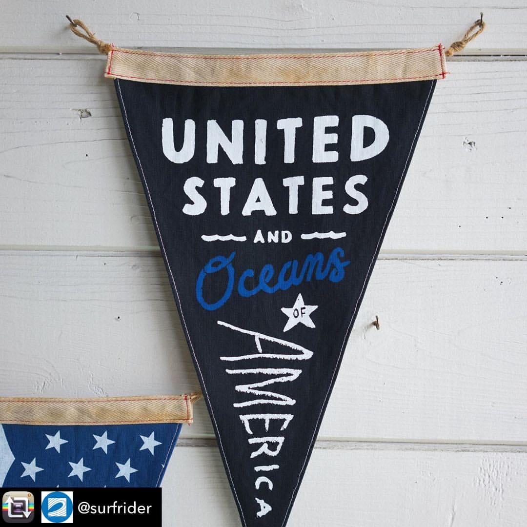 The USOA flag is a 