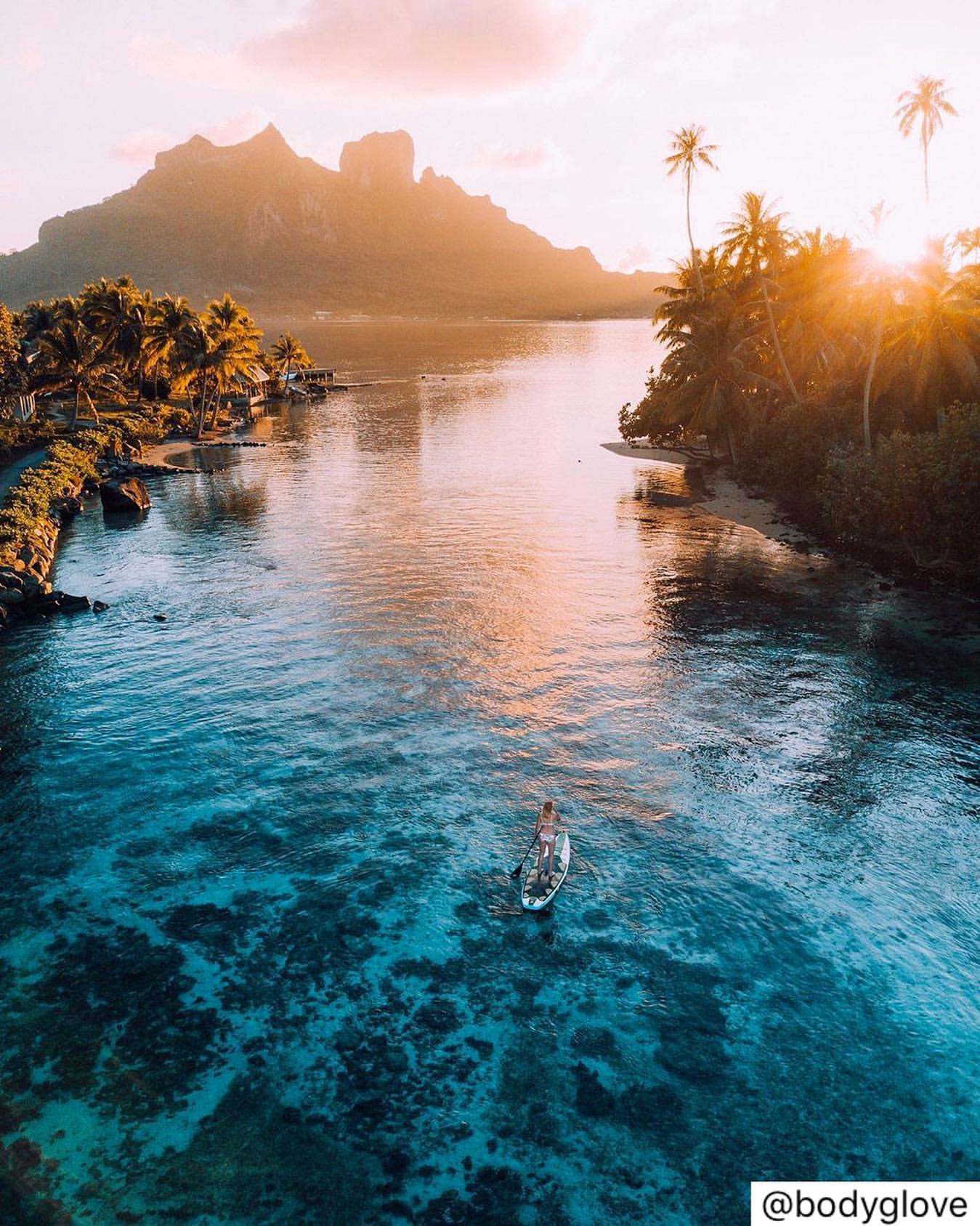 Paradise found 