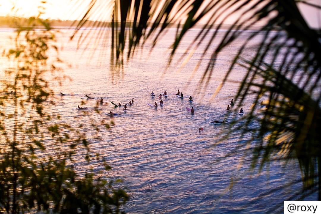 paradise f o u n d 