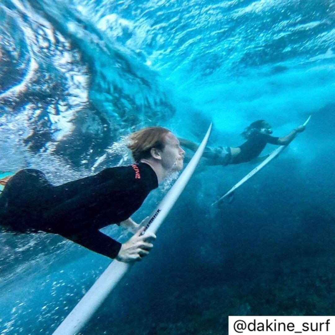 Get ready to dive in