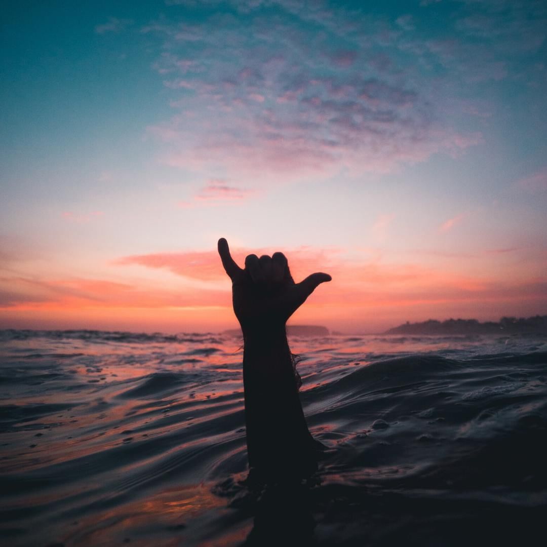 Wish we were here