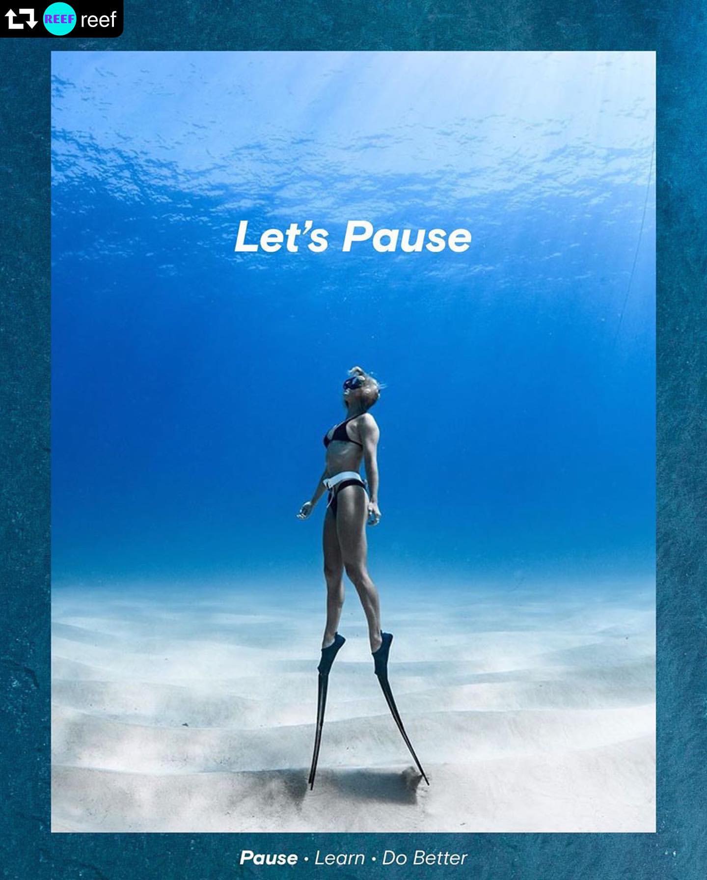 Taking time to Pause