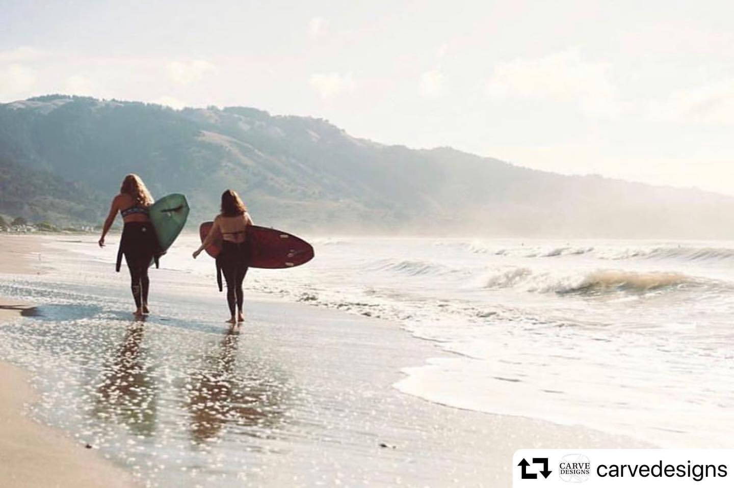  surfers and