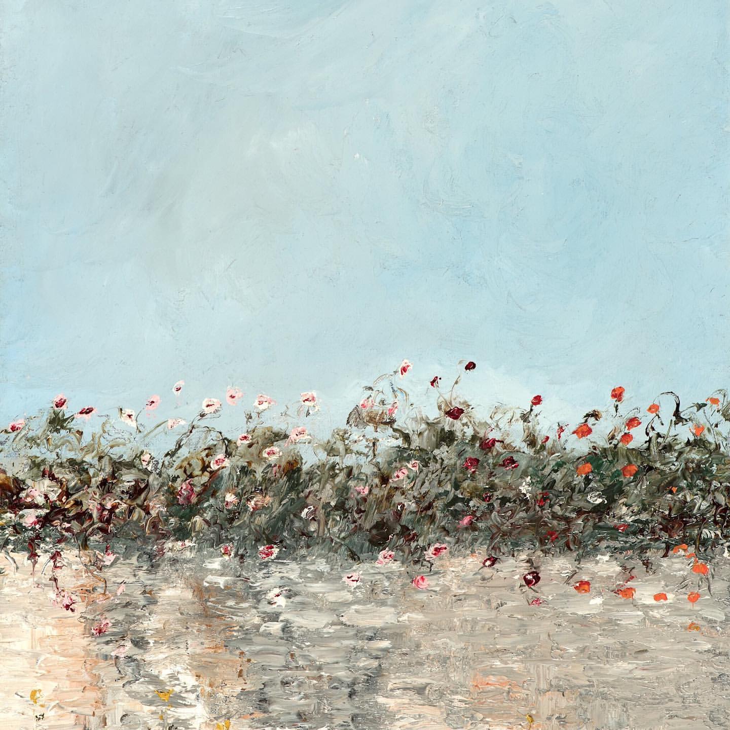 Landscapes capture t